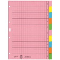 4340 Register - blanko, Papier, A4, 10 Blatt, Taben 2x...