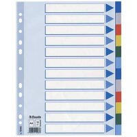 Register - blanko, A4, PP, 12-teilig + Deckblatt, farbig