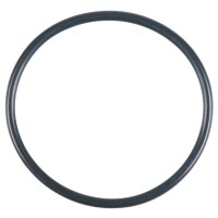 O-Ring 55 x 3 mm