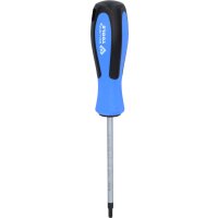 Schraubendreher TORX, T25 x 100 mm