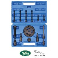 Motor-Einstellwerkzeug für Jaguar