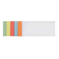 FRANKEN Moderationskarten farbsortiert 9,5 x 20,5 cm, 250...
