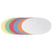 FRANKEN Moderationskarten farbsortiert 11,0 x 19,0 cm,...