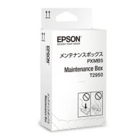 T2950 C13T295000