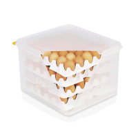 HACCP Eierbox GN 2/3,  für 4 Einlagen je 30 Eier,