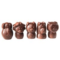 Schokoladen Form The Big Five - K