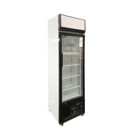 Getränkekühlschrank mit Display, Inhalt 305 Liter 