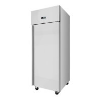 Edelstahltiefkühlschrank, Inhalt 351 Liter