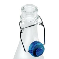 Glasflaschen mit Bügelverschluss 1L (6 Stück)