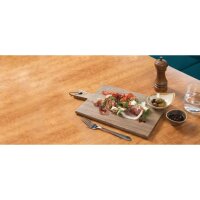 T&G Woodware Steakbrett Akazienholz mit Griff 26 x 19cm 