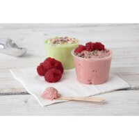 Fiesta Compostable Eislöffel aus Holz Biologisch abbaubar 9,6cm