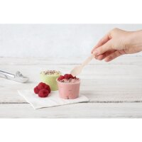 Fiesta Compostable Eislöffel aus Holz Biologisch abbaubar 9,6cm