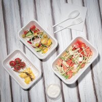 Fiesta Compostable kompostierbare Menüschalen aus Bagasse 45,5cl (50 Stück)