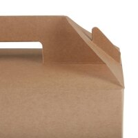 Colpac recycelbare Kraftkartons groß (125 Stück)