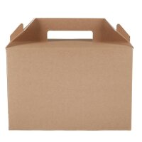 Colpac recycelbare Kraftkartons groß (125 Stück)