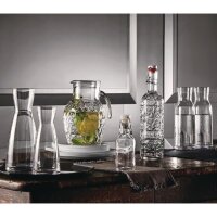 Bormioli Ypsilon Karaffen Transparent 500ml (6 Stück) 2