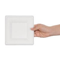 Fiesta Compostable kompostierbare Teller aus Bagasse...