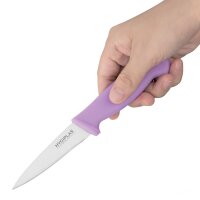 Hygiplas Gemüsemesser 9cm lila 2